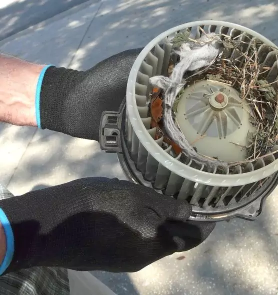 About Air Duct Rat Removal in Trenton, MI