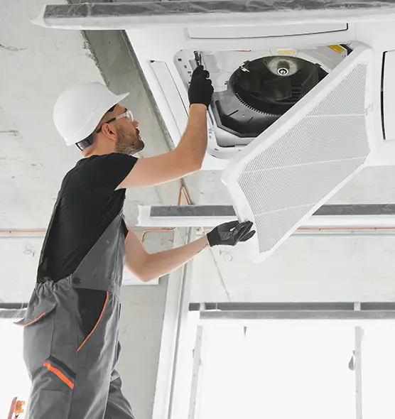 About Air Duct Rodent Removal in Trenton, MI