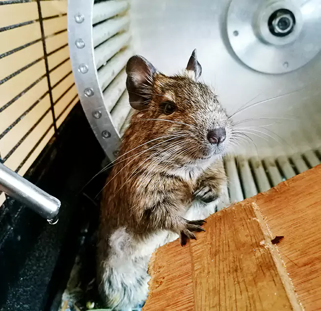 Why Homeowners & Businesses Trust Us Trenton, MI