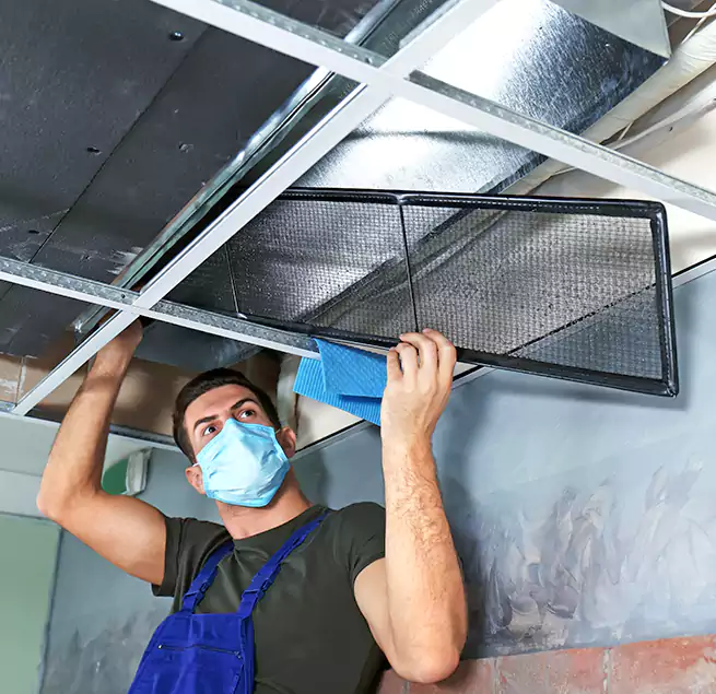 Why Homeowners Businesses Trust Us in Trenton, MI