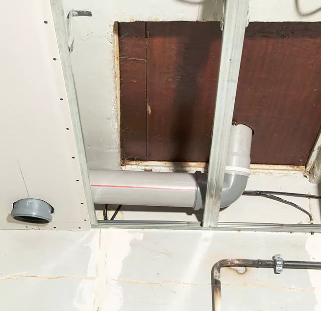 Why Homeowners & Businesses Trust Us in Trenton, MI?