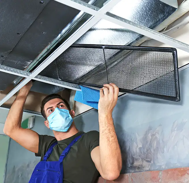 Why Homeowners & Businesses Trust Us in Trenton, MI?