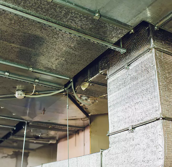 Why Homeowners & Businesses Trust Us in Trenton, MI?