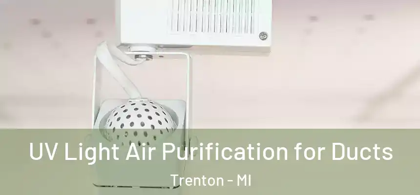  UV Light Air Purification for Ducts Trenton - MI