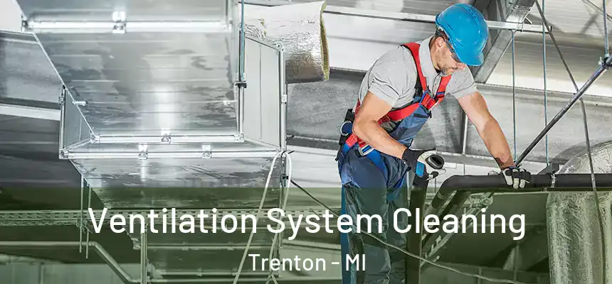 Ventilation System Cleaning Trenton - MI