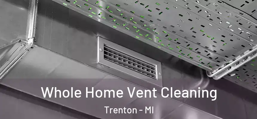  Whole Home Vent Cleaning Trenton - MI
