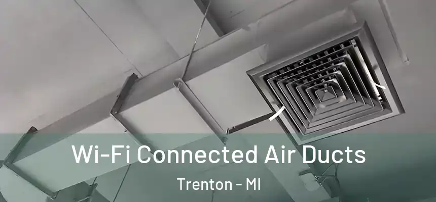  Wi-Fi Connected Air Ducts Trenton - MI
